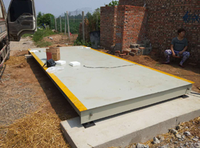 洛阳寇店西朱村养牛合作社10吨地磅