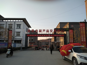 嵩县农副产品交易中心100吨双向地衡