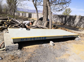 登封赵村木材收购中心10吨地磅