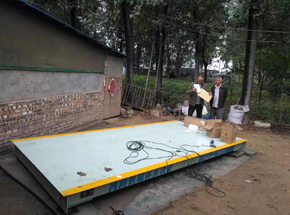 商丘民权县焦庄东村10吨电子磅