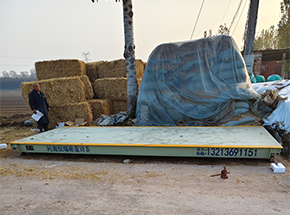 焦作保江养殖场30吨地磅