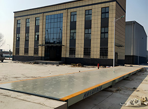 周口郸城仓储物流产业园100吨地磅