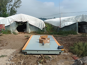 周口太康县马头镇舒屯村农缘菌业20吨地磅