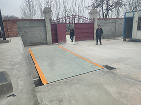 洛阳宜阳大寨村种植合作社20吨