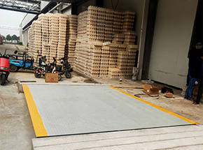 河南鲜菇坊生物科技10吨地磅