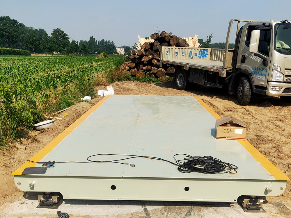 兰考闫楼郭庄粮站3