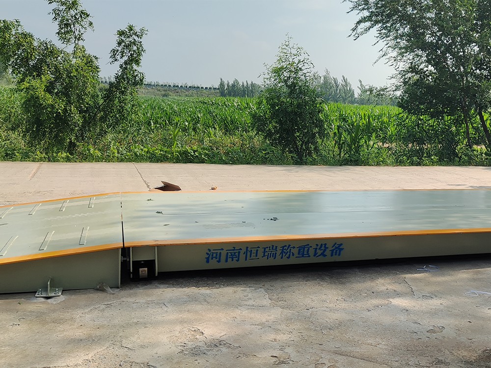 菏泽定陶区丰庄粮站1