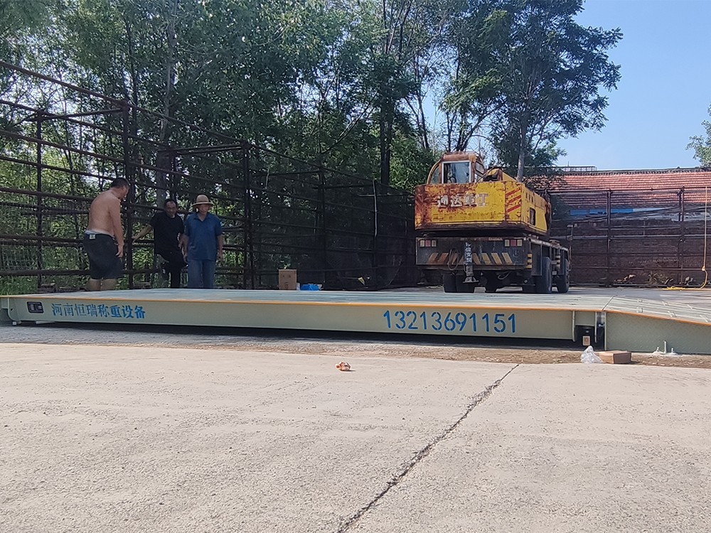 菏泽定陶区丰庄粮站4