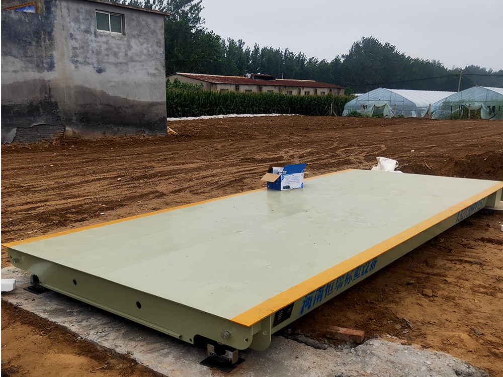 解元花生收购站3