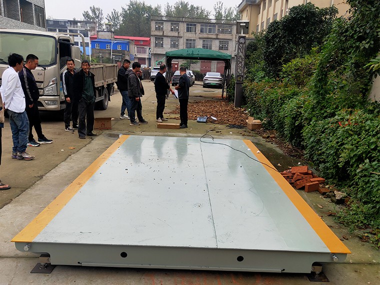 太和县三店集农业合作社1