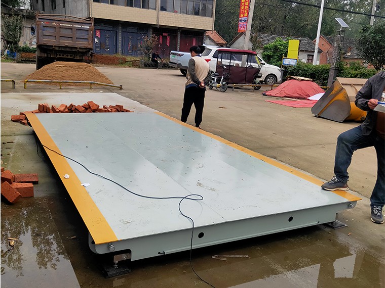 太和县三店集农业合作社4