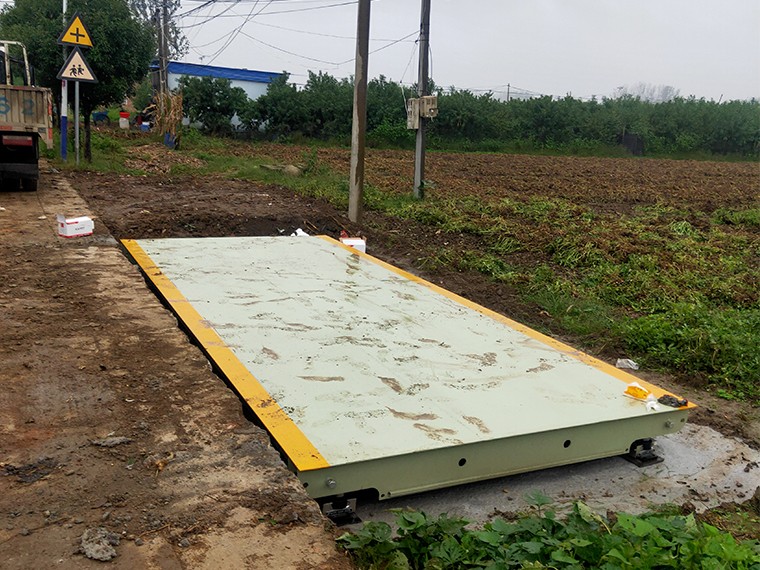 大卢村农业合作社2