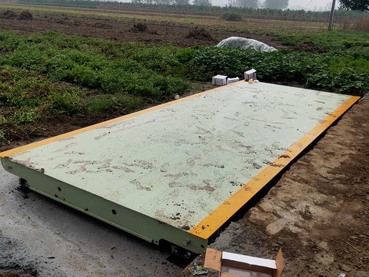 大卢村农业合作社5