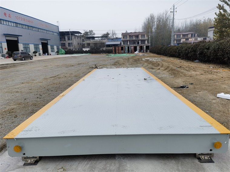 安徽亳州马韬鲤农场02