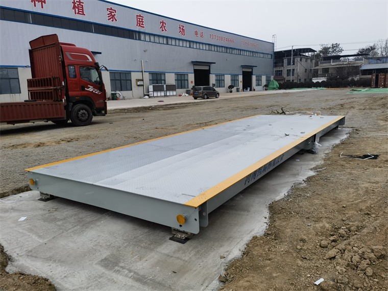 安徽亳州马韬鲤农场03