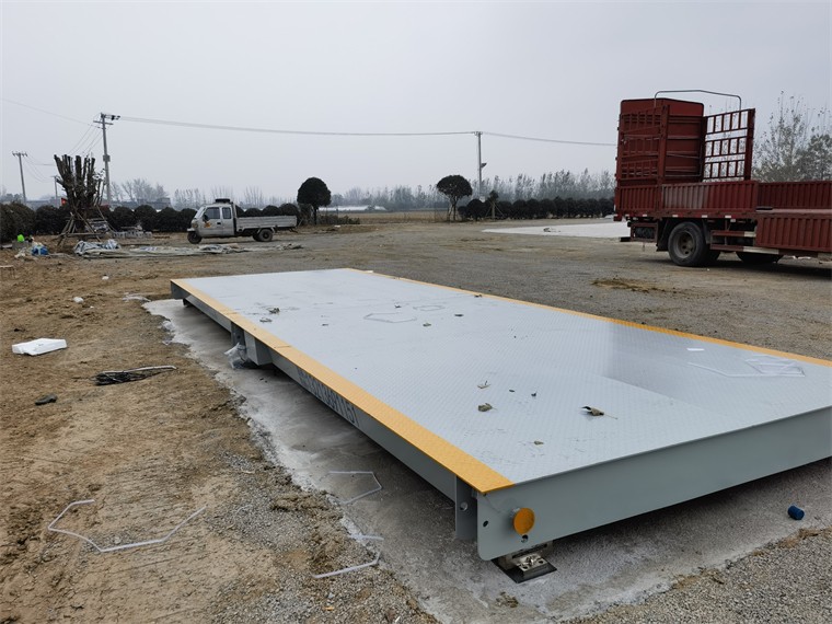 安徽亳州马韬鲤农场04