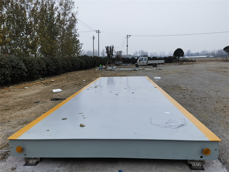 安徽亳州马韬鲤农场05