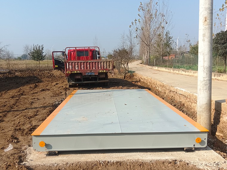 固始县传伟家庭农场3