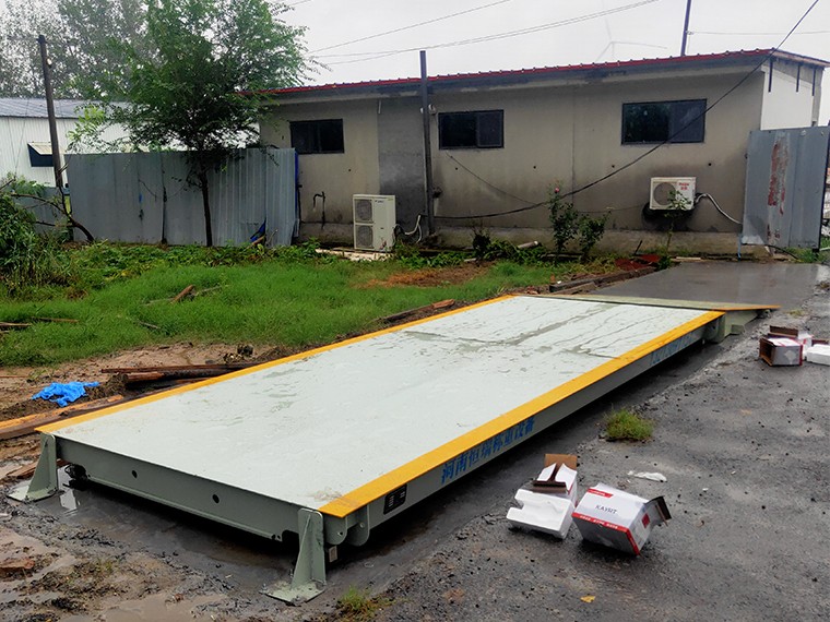 山东菏泽马头镇木材市场1