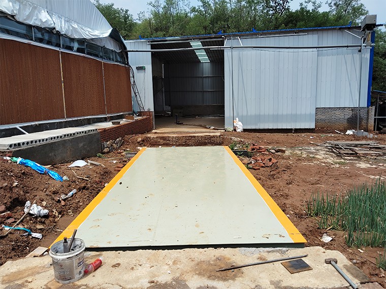 义马市湾子村农业合作社1