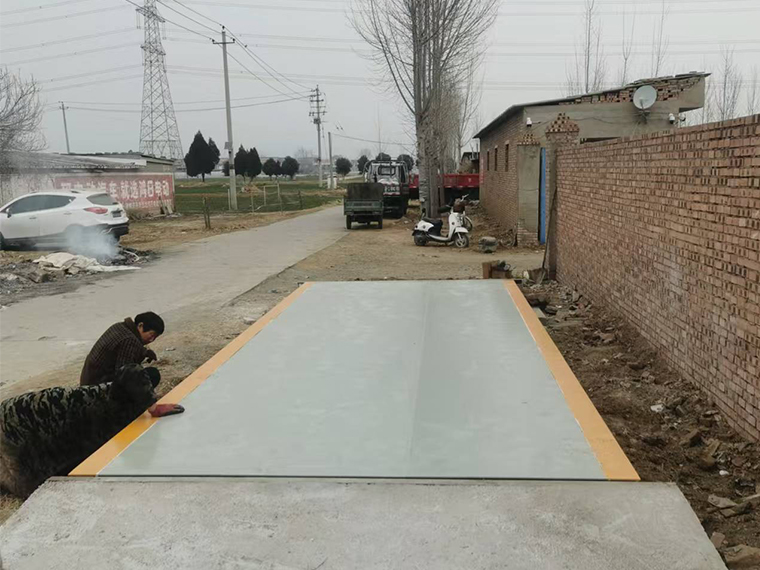 焦作沁阳北金村农业合作社1